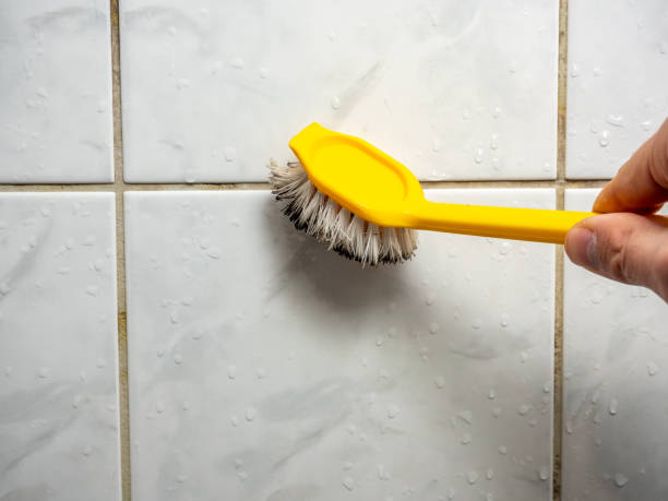 Best Mold Testing  in Palm Springs North, FL